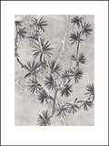 Grey Larch Limited Edition Print 30cm x 40 cm