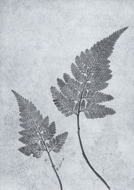 Dusty Blue Fern Print A5 Postcard